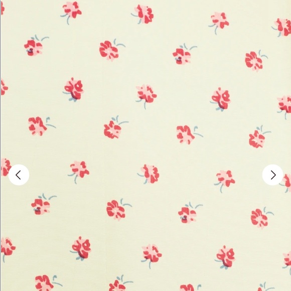 Faithful The Brand Sage Mini Dress Santa Maria Floral Print - Picture 10 of 11